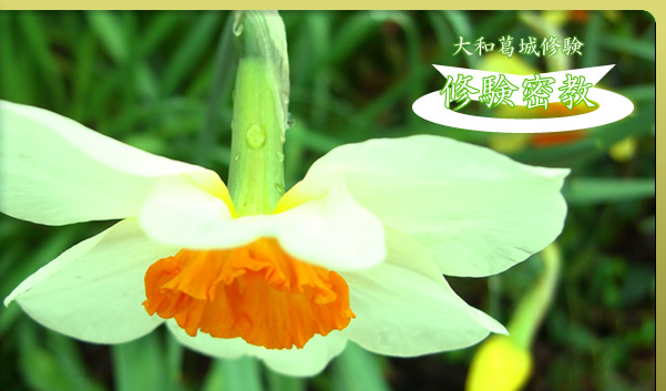 修験密教　－大和葛城修験－　TOPページへ